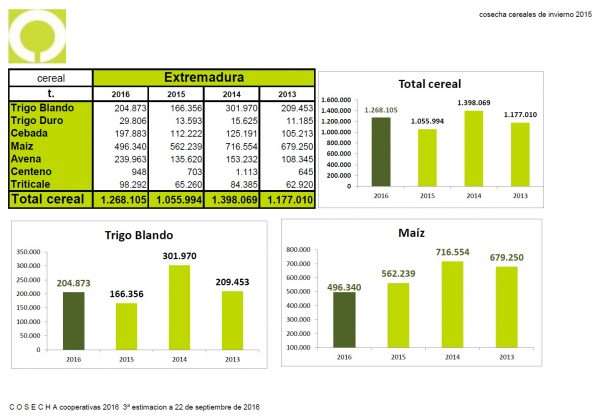 cosecha-de-cerales-extremadura-3-604x420