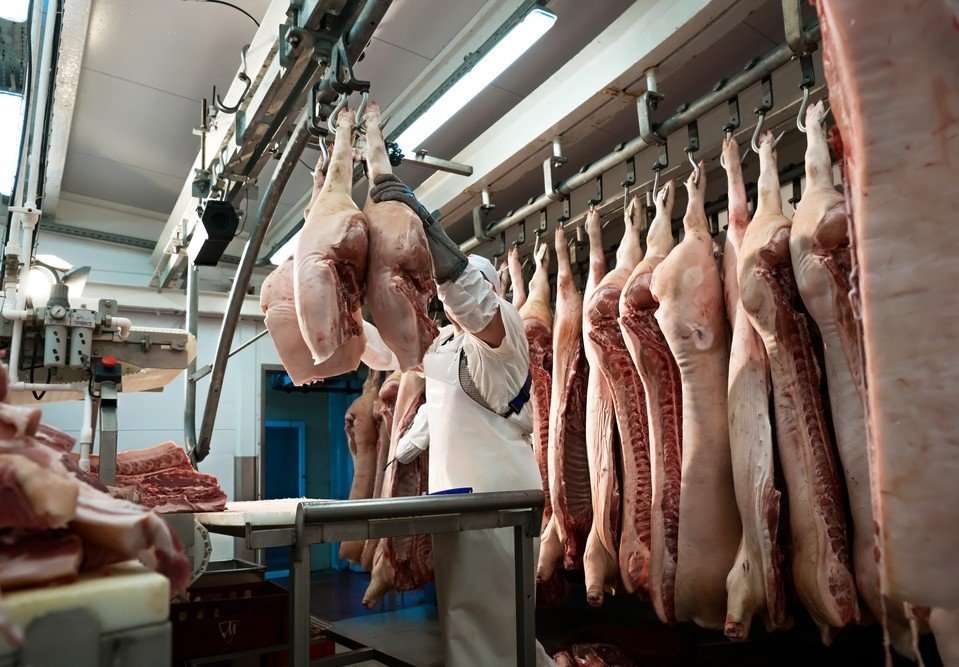 Perspectivas globales del USDA para la carne de cerdo en 2025: Producción estable, pero comercio cambiante