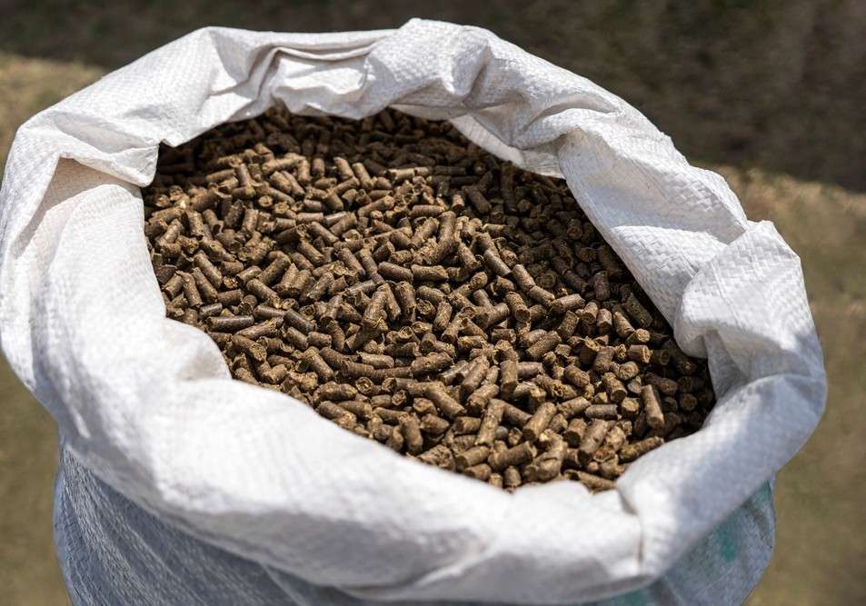 Apag Extremadura Asaja exige a las casas comerciales de piensos que repercutan la bajada del precio del cereal en sus productos