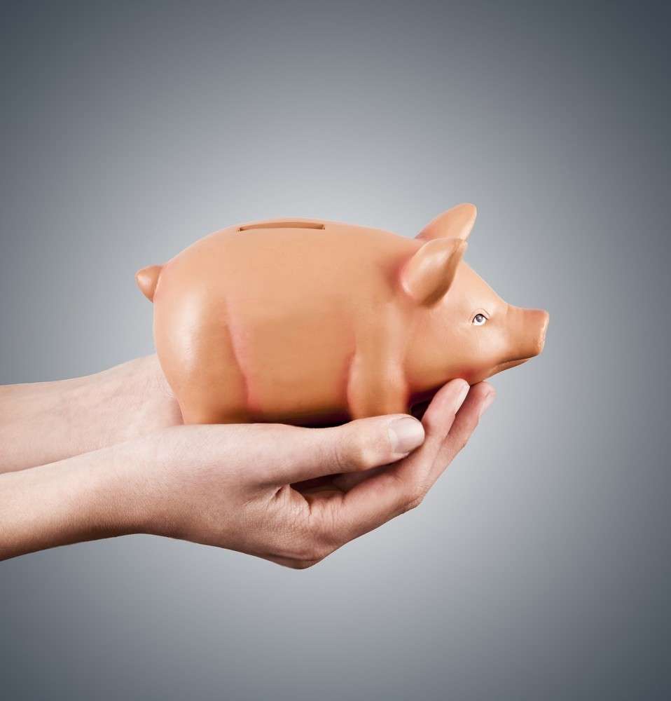 Estabilidad del mercado porcino en Alemania y Dinamarca, presión en España, e impulso estacional en Italia y Francia