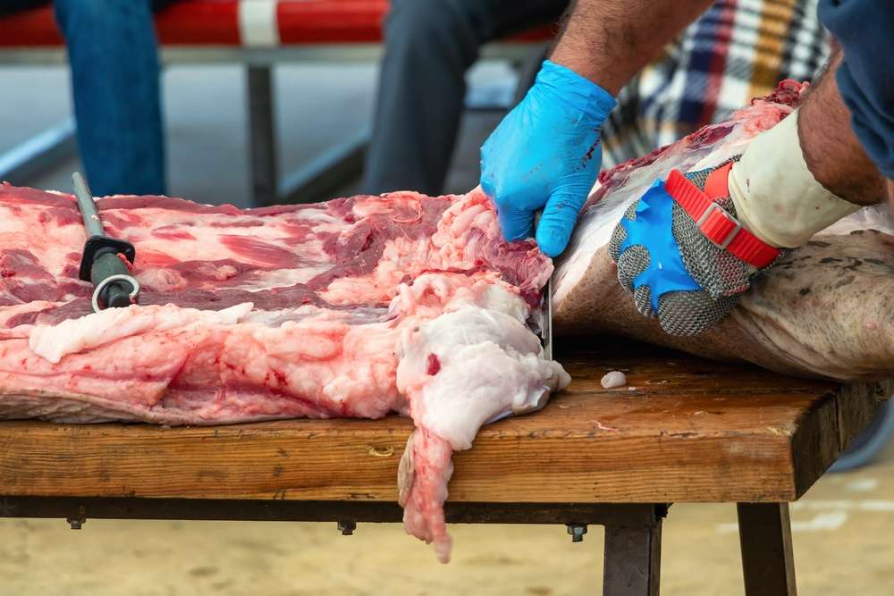 Datos de sacrificios de porcino ibérico de la semana 24