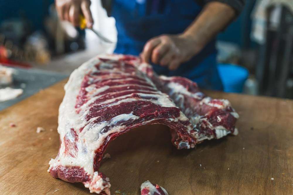 Datos de sacrificios de porcino ibérico de la semana 29