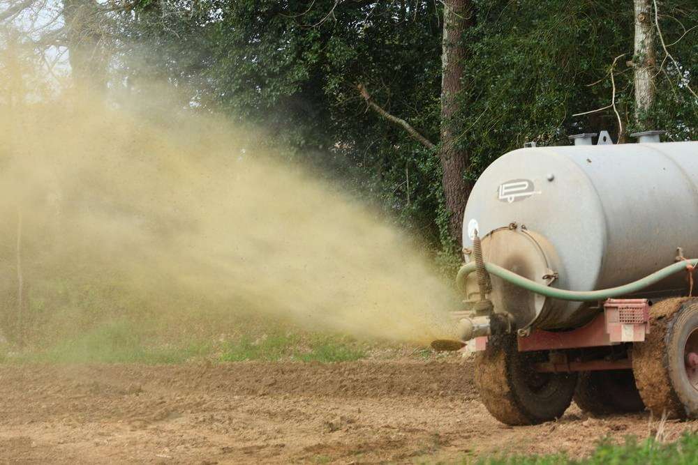 Un círculo sostenible entre proteínas vegetales y purines de cerdos