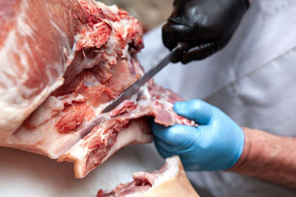 Cotizaciones a 25 de agosto de la mesa de despiece de porcino ibérico de Salamanca