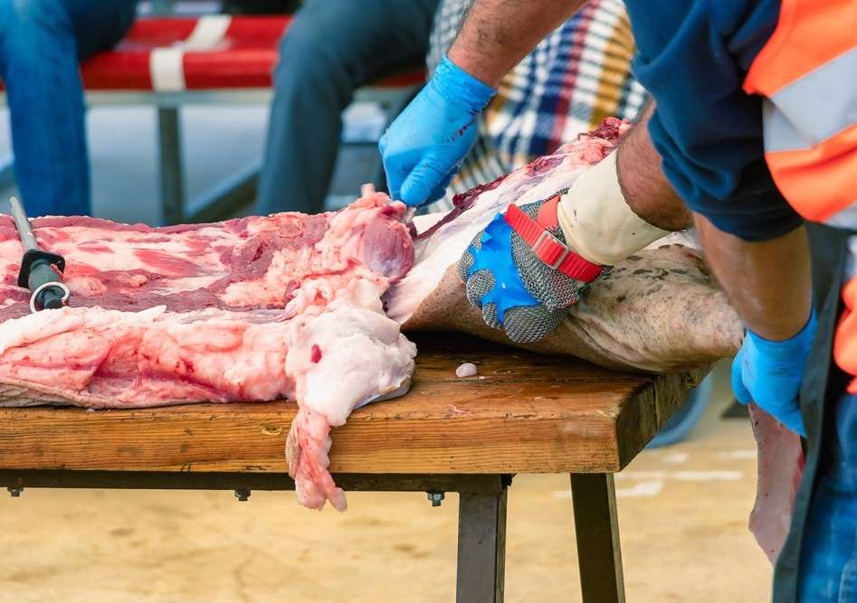 Datos de sacrificios de porcino ibérico de la semana 33 de 2025