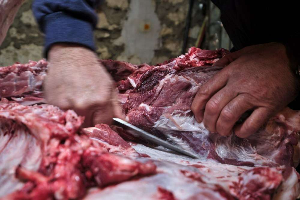 Datos de sacrificios de porcino ibérico de la semana 39 de 2025