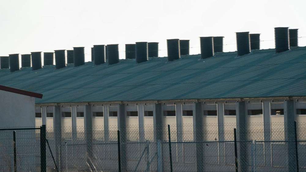 El Supremo exige cuentas claras: no habrá cambios normativos en bienestar animal sin memoria económica realista