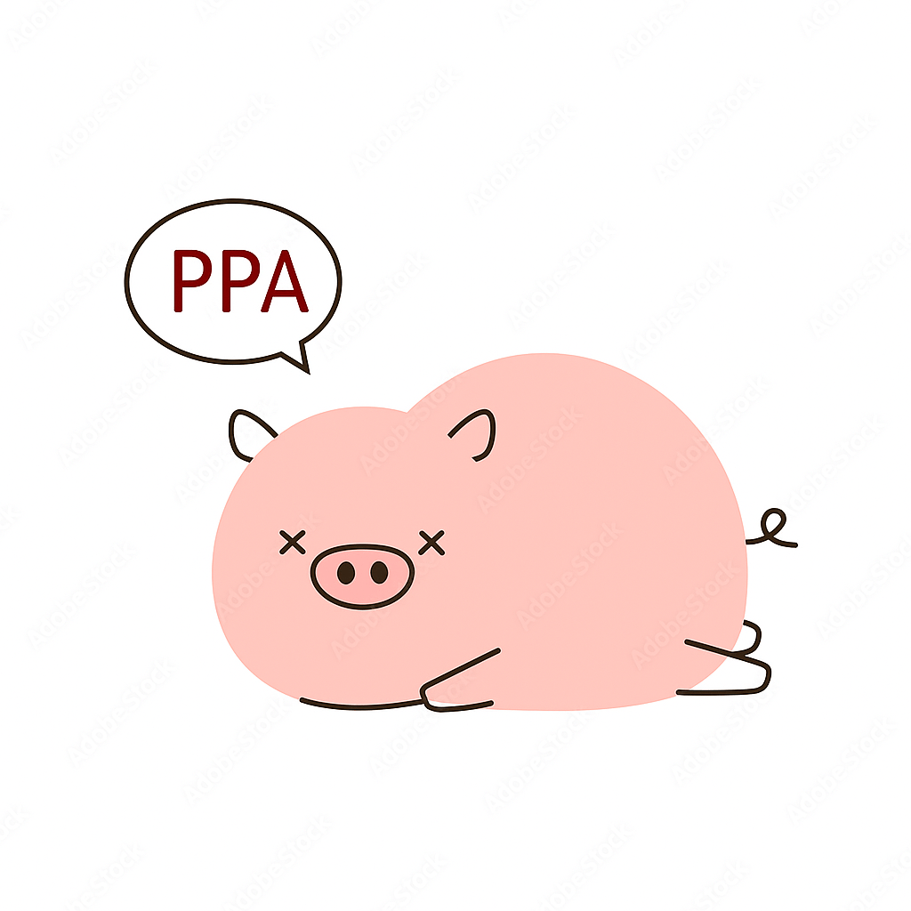 El bloqueo exportador por la PPA genera incertidumbre en el sector porcino español