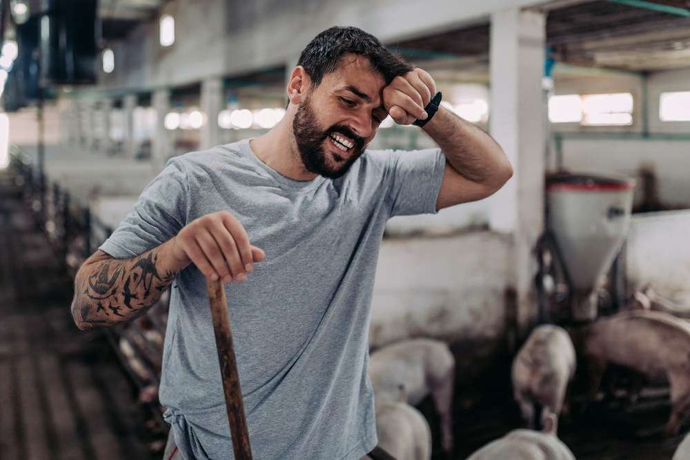 Estabilidad del mercado sostenida por la industria, en detrimento del productor