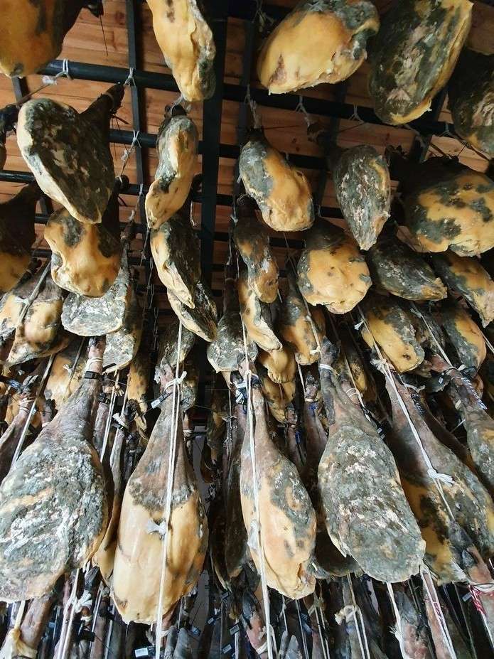 Color, oxidación y microbiología en la calidad de los productos curados