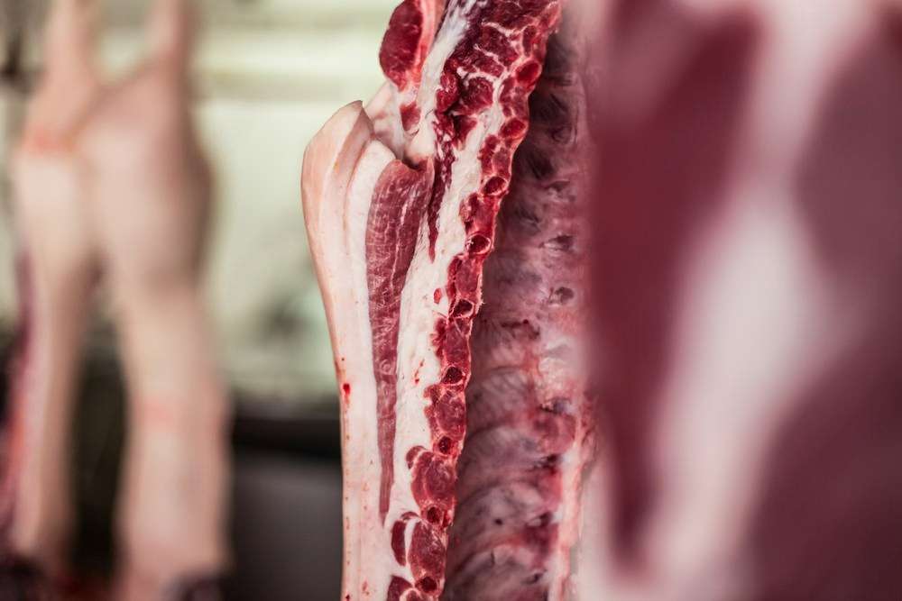 Datos de sacrificios de porcino ibérico de la semana 1 de 2026